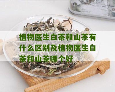 植物医生白茶和山茶有什么区别及植物医生白茶和山茶哪个好