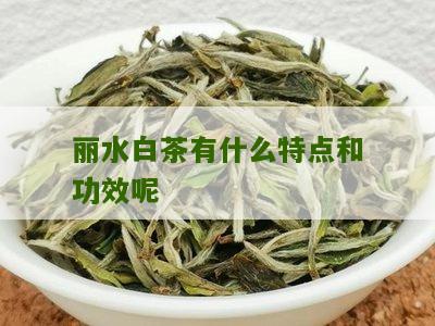 丽水白茶有什么特点和功效呢