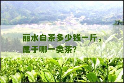 丽水白茶多少钱一斤，属于哪一类茶？