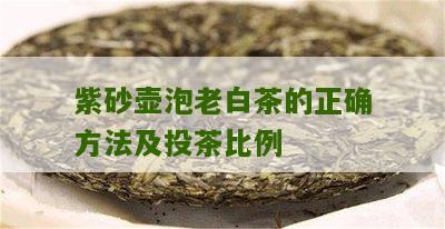 紫砂壶泡老白茶的正确方法及投茶比例