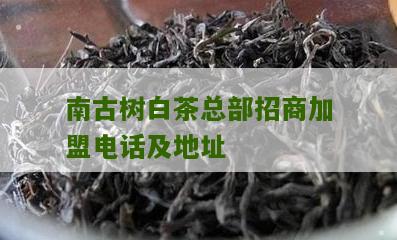 南古树白茶总部招商加盟电话及地址