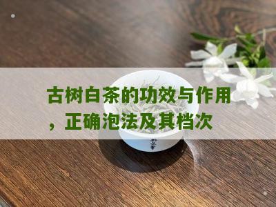 古树白茶的功效与作用，正确泡法及其档次