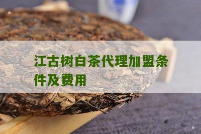 江古树白茶代理加盟条件及费用