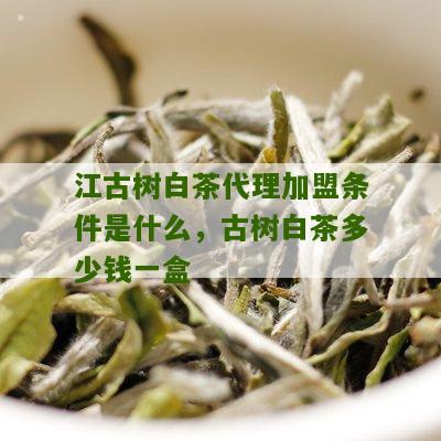 江古树白茶代理加盟条件是什么，古树白茶多少钱一盒