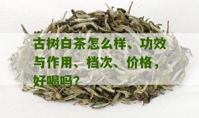 古树白茶怎么样、功效与作用、档次、价格，好喝吗？