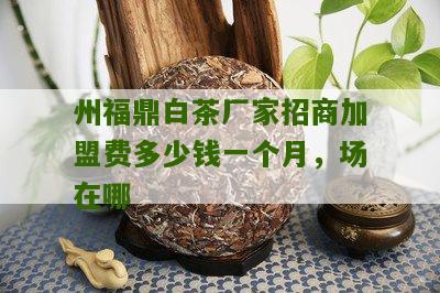 州福鼎白茶厂家招商加盟费多少钱一个月，场在哪