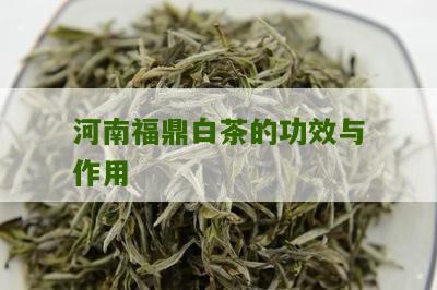 河南福鼎白茶的功效与作用