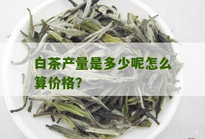 白茶产量是多少呢怎么算价格？