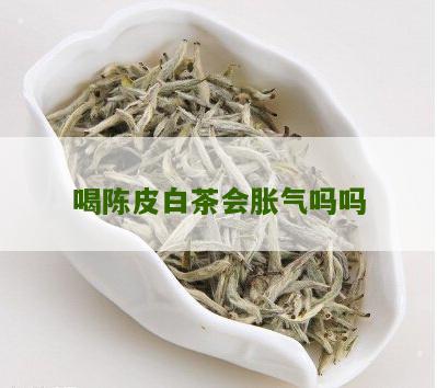 喝陈皮白茶会胀气吗吗