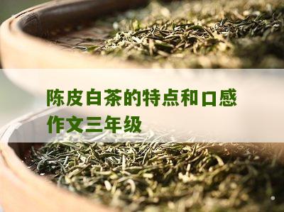 陈皮白茶的特点和口感作文三年级