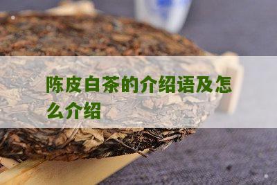 陈皮白茶的介绍语及怎么介绍