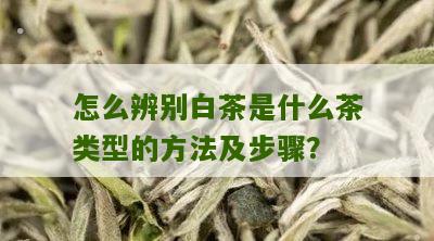 怎么辨别白茶是什么茶类型的方法及步骤？