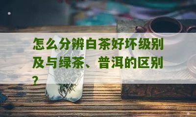 怎么分辨白茶好坏级别及与绿茶、普洱的区别？