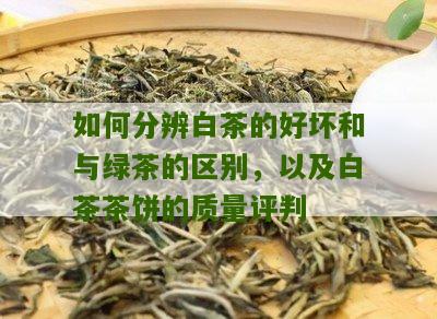 如何分辨白茶的好坏和与绿茶的区别，以及白茶茶饼的质量评判