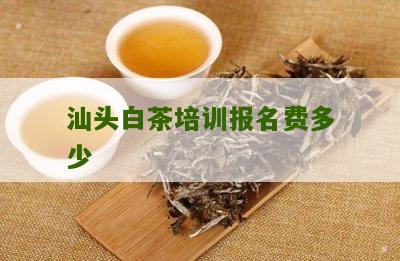 汕头白茶培训报名费多少