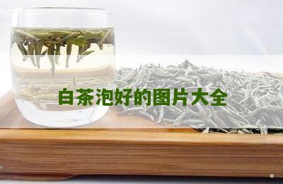 白茶泡好的图片大全