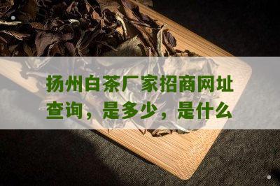 扬州白茶厂家招商网址查询，是多少，是什么