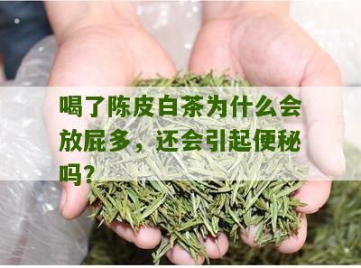 喝了陈皮白茶为什么会放屁多，还会引起便秘吗？