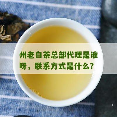 州老白茶总部代理是谁呀，联系方式是什么？