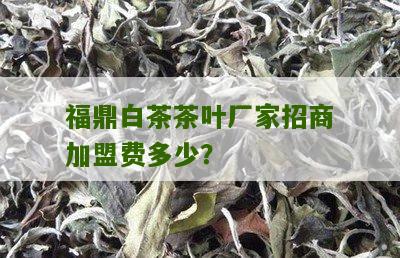 福鼎白茶茶叶厂家招商加盟费多少？