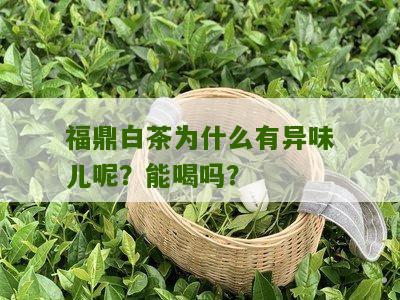 福鼎白茶为什么有异味儿呢？能喝吗？