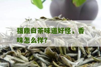 福鼎白茶味道好怪，香味怎么样？