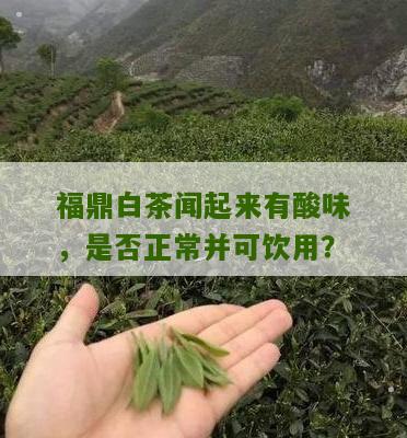 福鼎白茶闻起来有酸味，是否正常并可饮用？