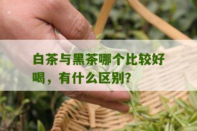 白茶与黑茶哪个比较好喝，有什么区别？