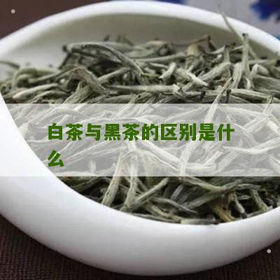 白茶与黑茶的区别是什么