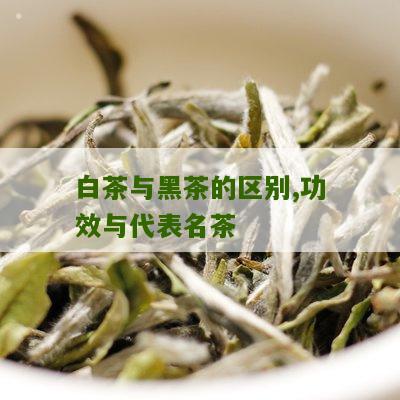 白茶与黑茶的区别,功效与代表名茶