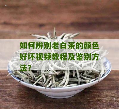 如何辨别老白茶的颜色好坏视频教程及鉴别方法？