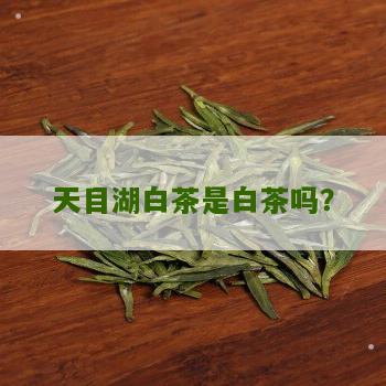 天目湖白茶是白茶吗？