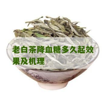 老白茶降血糖多久起效果及机理