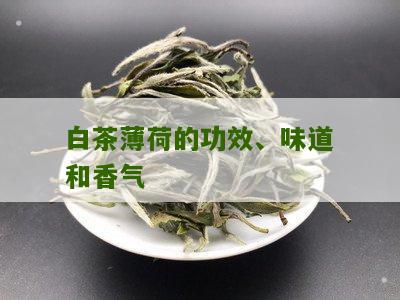 白茶薄荷的功效、味道和香气