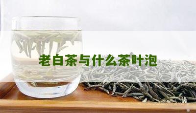 老白茶与什么茶叶泡