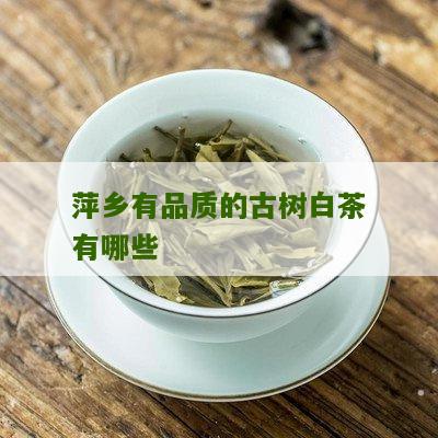 萍乡有品质的古树白茶有哪些