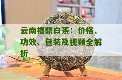 云南福鼎白茶：价格、功效、包装及视频全解析