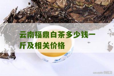 云南福鼎白茶多少钱一斤及相关价格