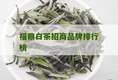 福鼎白茶招商品牌排行榜