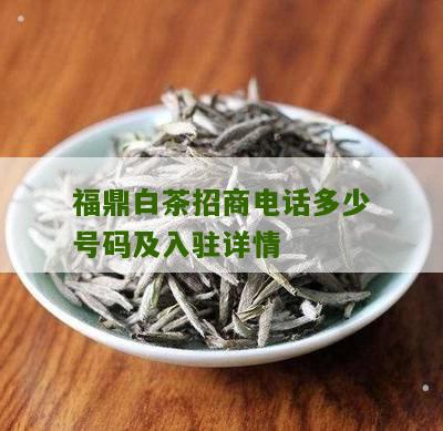 福鼎白茶招商电话多少号码及入驻详情