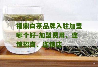 福鼎白茶品牌入驻加盟哪个好-加盟费用、连锁招商、连锁店