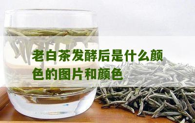 老白茶发酵后是什么颜色的图片和颜色