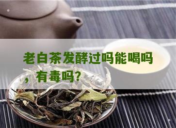 老白茶发酵过吗能喝吗，有毒吗？