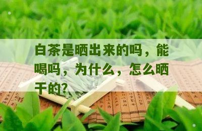 白茶是晒出来的吗，能喝吗，为什么，怎么晒干的？