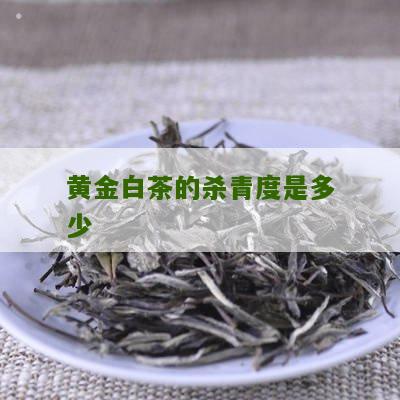 黄金白茶的杀青度是多少