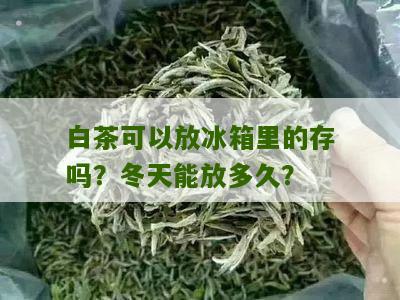 白茶可以放冰箱里的存吗？冬天能放多久？