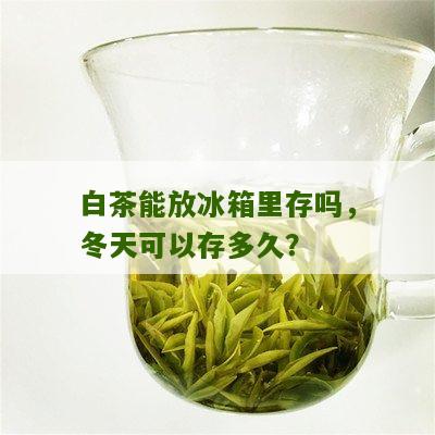 白茶能放冰箱里存吗，冬天可以存多久？