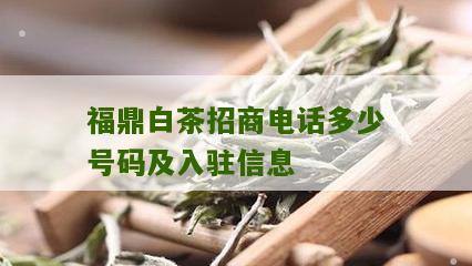 福鼎白茶招商电话多少号码及入驻信息