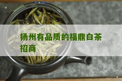 扬州有品质的福鼎白茶招商