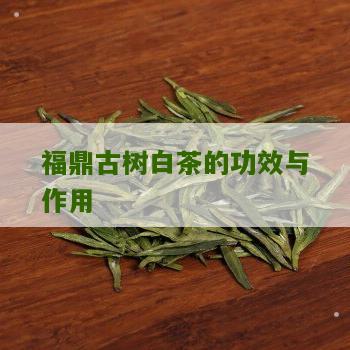 福鼎古树白茶的功效与作用